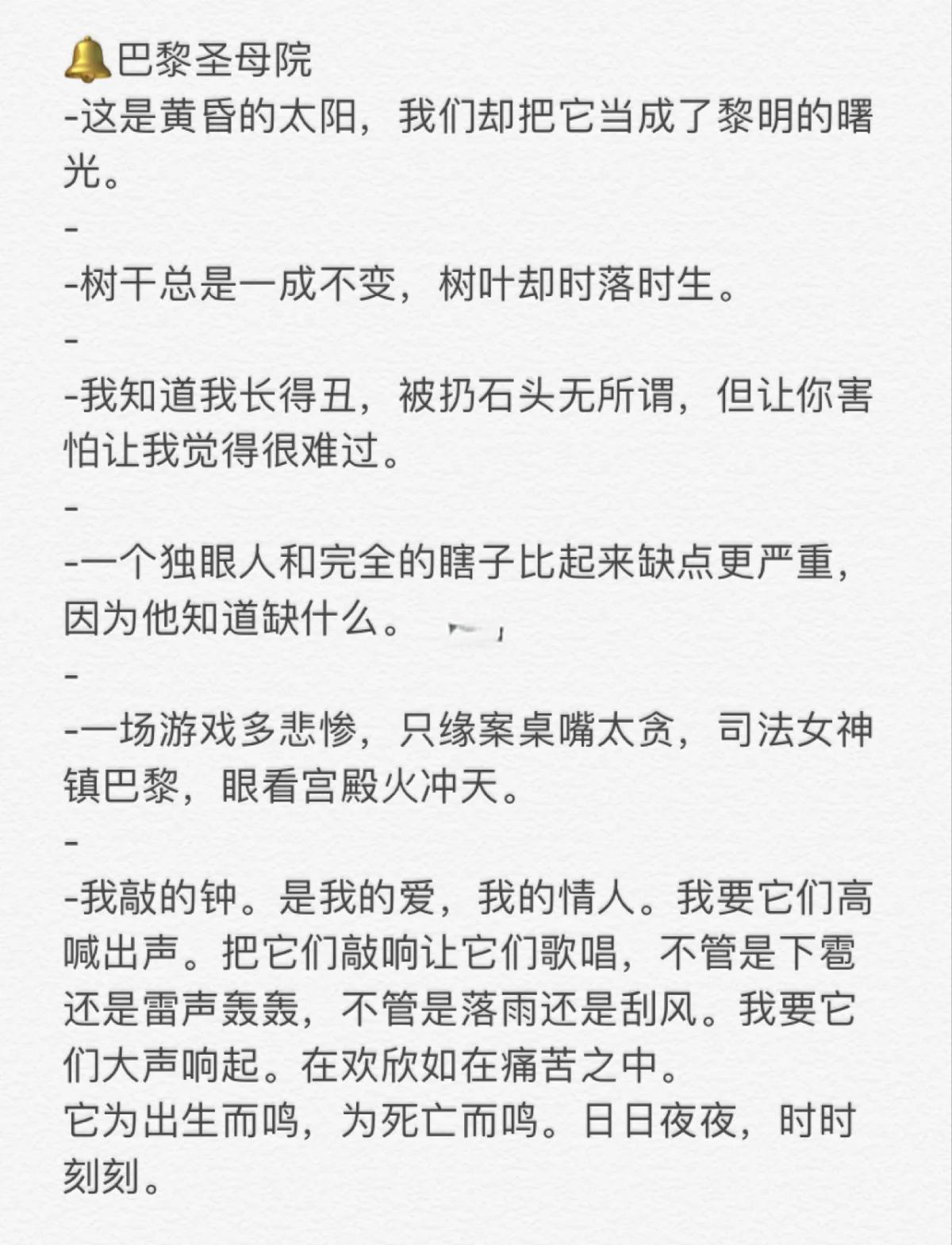 《巴黎圣母院》读后感600字